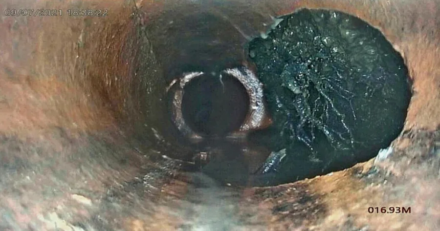 Tree root mass at a pipe joint, viewed from a sewer camera